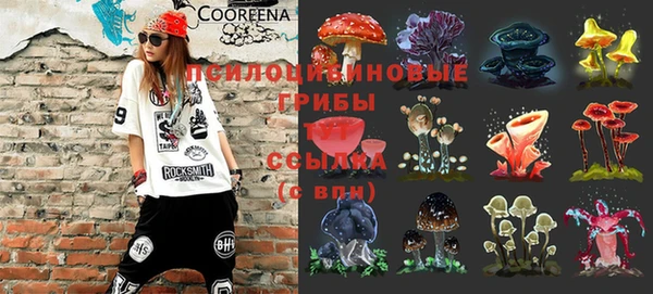 амфетамин Алексеевка