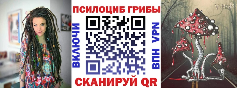 Псилоцибиновые грибы Magic Shrooms  где продают наркотики  Темрюк 