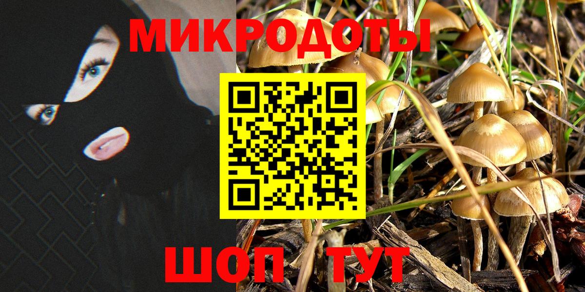 Темрюк  как найти наркотики  Вход с VPN  Галлюциногенные грибы мухоморы 