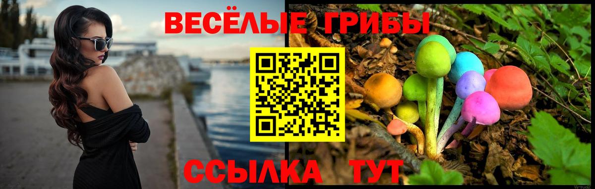 Псилоцибиновые грибы Psilocybine cubensis Темрюк